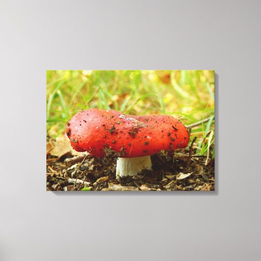 Russula Emetica Canvas Print キャンバスプリント (正面)