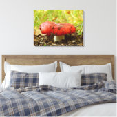 Russula Emetica Canvas Print キャンバスプリント (インサイチュ (寝室))