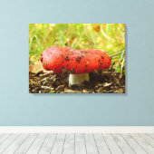 Russula Emetica Canvas Print キャンバスプリント (インサイチュ (ウッドフロア))