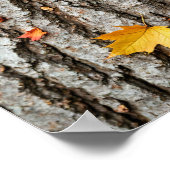 Rustic Autumn Leaves Fall Colors Tree Bark ポスター (角)