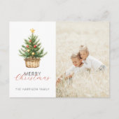 Rustic Christmas Tree In Basket Photo シーズンポストカード (正面)
