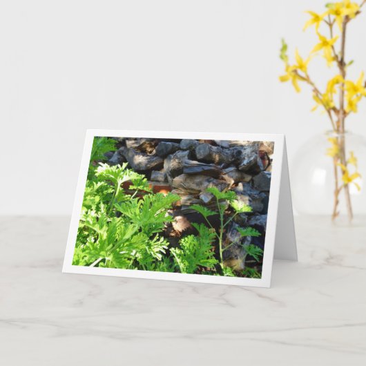 Rustic Citronella Leaf Portrait カード (黄色い花)