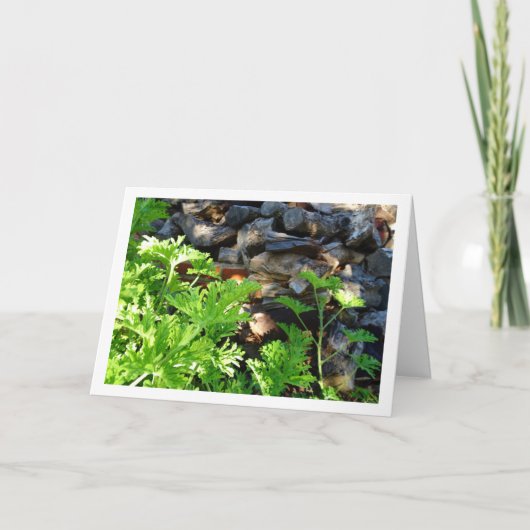 Rustic Citronella Leaf Portrait カード (正面)