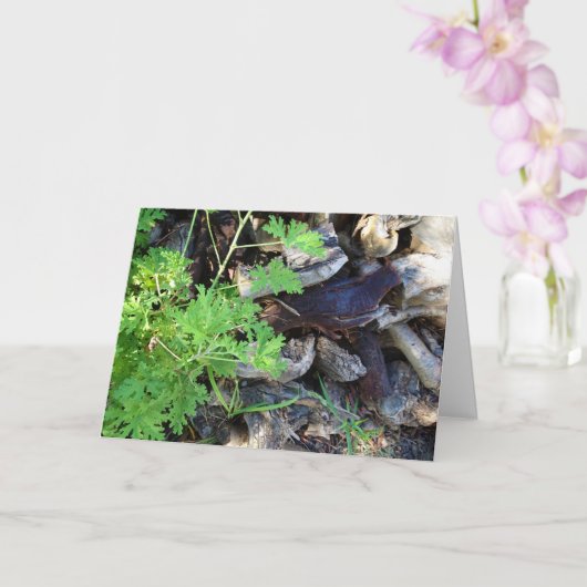 Rustic Citronella Leaf Portrait Card カード (蘭)