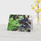 Rustic Citronella Leaf Portrait Card カード (黄色い花)