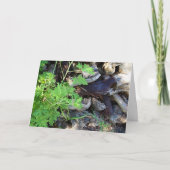 Rustic Citronella Leaf Portrait Card カード (正面)