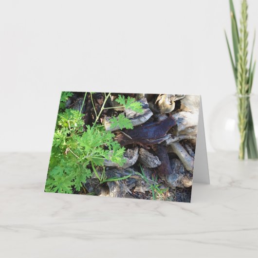 Rustic Citronella Leaf Portrait Card カード (正面)