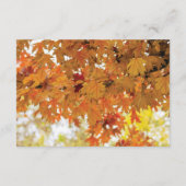 Rustic Fall Autumn Tree Lights ウェディング案内状 エンクロージャーカード (裏面)