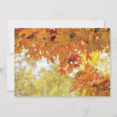 Rustic Fall Autumn Tree Lights Photo ウェディング 招待状 (裏面)