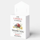 Rustic Garden Daisy Little Ladybug Baby Shower  フェイバーボックス (オープン)