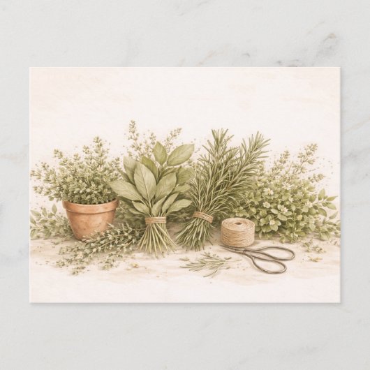 Rustic Herb Bundle Botanical Watercolor Still Life ポストカード (正面)