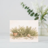 Rustic Herb Bundle Botanical Watercolor Still Life ポストカード (スタンド正面)