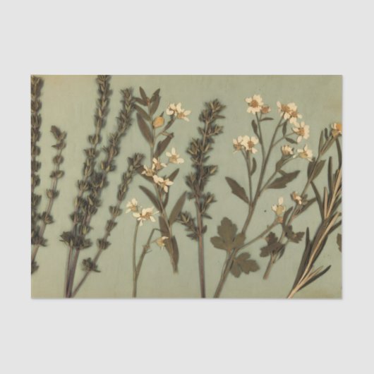 Rustic Herb & Wildflower Tissue Paper 薄葉紙 (正面)