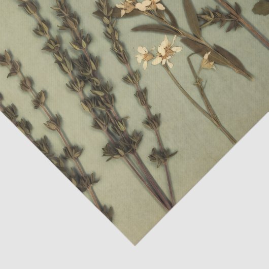 Rustic Herb & Wildflower Tissue Paper 薄葉紙 (詳細)