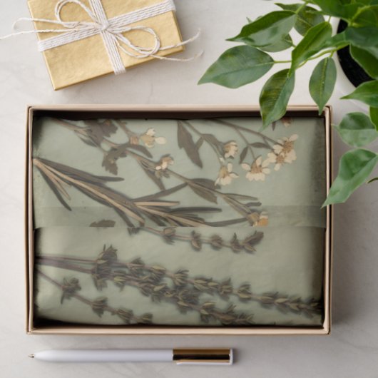 Rustic Herb & Wildflower Tissue Paper 薄葉紙 (ギフト)