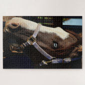 Rustic Horse Photography Puzzle- Original Photo ジグソーパズル (横)
