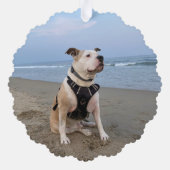 Rustic In Loving Memory PET Memorial Photo オーナメントカード (裏面)