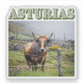 Rustic mountain cow, Asturias, Spain travel シール (正面)