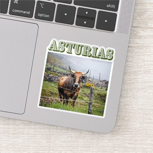 Rustic mountain cow, Asturias, Spain travel シール (詳細)