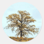 Rustic Oak Tree Autumn Wedding ラウンドシール (正面)