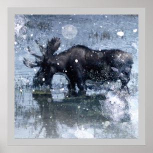 Rustic outdoorsman wilderness wildlife bull moose ポスター