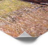 Rustic Outhouse in the Aspen St Elmo Colorado ポスター (角)