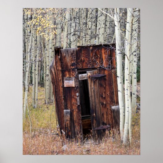 Rustic Outhouse in the Aspen St Elmo Colorado ポスター (正面)