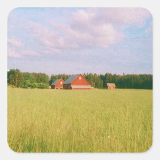 Rustic summer field, Helsingia, Sweden スクエアシール (正面)