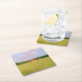 Rustic summer field, Helsingia, Sweden スクエアペーパーコースター (インサイチュ)