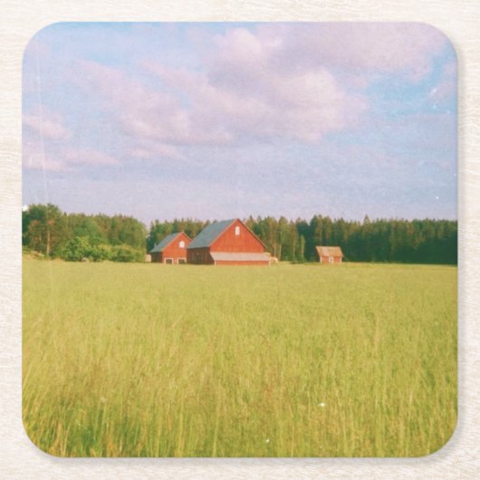 Rustic summer field, Helsingia, Sweden スクエアペーパーコースター (正面)