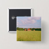 Rustic summer field, Helsingia, Sweden 缶バッジ (正面&裏面)