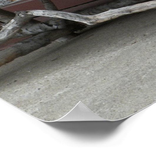 Rustic Twig Bench & Flowers ポスター (角)