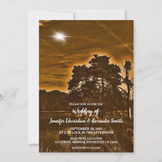 Rustic twinkle light country wedding invitation セーブザデート (正面)