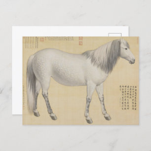 Ruyi cong("As-You-Wish" Piebald)ファインアート ポストカード