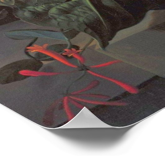 Ruysch - Devil's Trumpet, Actus, Fig Branch, Hone ポスター (角)