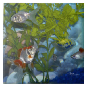 Ryukinの金魚のplatysのタイル タイル