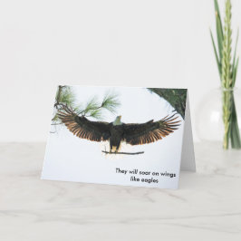 SおよびP Birkner シーズンカード