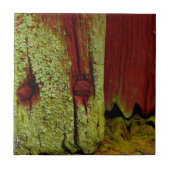 Sで人気のある典型的なスウェーデン人のFalunの赤い色、非常に タイル (正面)