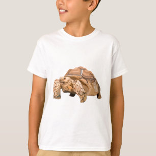 Sはスルカタートルズ用 Tシャツ
