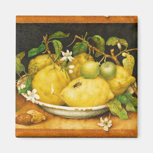 Sはレモンおよび白い花実を結びます マグネット