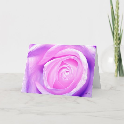 Sシンプル Cyr シーズンカード (正面)