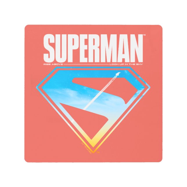 Sシールドを通して飛び出す メタルプリント (正面)