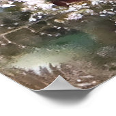 Sポーズのテールスポットブレニー ポスター (角)