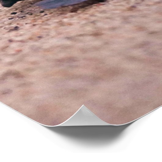 s引用文インスパイアベビーシータートルサンド海 ポスター (角)