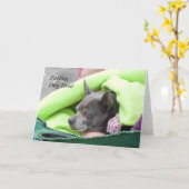 s感じドッグ疲れ(Chihuahua) – フレームアートカード カード (黄色い花)