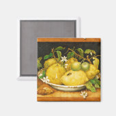 S果実レモンと白い花 マグネット (正面/裏面)