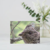 S燃えるユタ渓谷鳥獣が動物を飛ぶ ポストカード (スタンド正面)