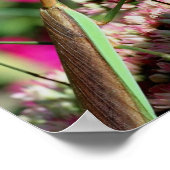 s祈マンチオンセドゥムフラワー鏡抽象芸術 ポスター (角)