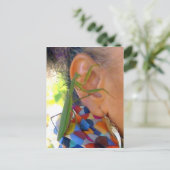 s祈 mantis共有の秘密 – Vポストカード ポストカード (スタンド正面)