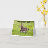 S0から通知の準備完了*ハッピーバースデー* カード (黄色い花)